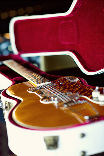 picking a guitar case